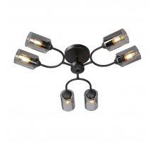Потолочная люстра Vitaluce V2823-1/6PL
