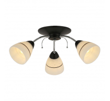 Потолочная люстра Toplight Winnifred TL1255D-03BC