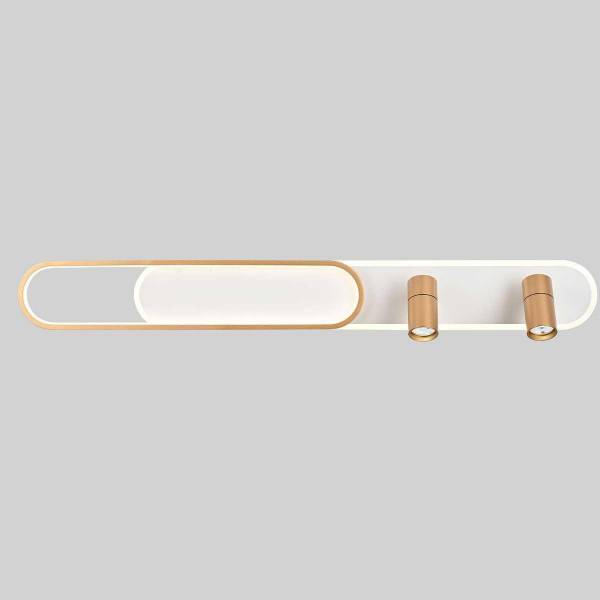 Потолочная светодиодная люстра Favourite Planar 4075-2C Потолочная светодиодная люстра Favourite Planar 4075-2C