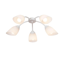 Потолочная люстра Vitaluce V3194/5PL