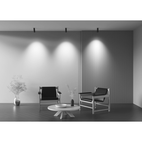 Встраиваемый светодиодный спот Maytoni Technical Focus Led C053CL-L12W2.7K-W-B