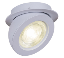 Спот Reluce 84053-9.0-001QR COB8W WT