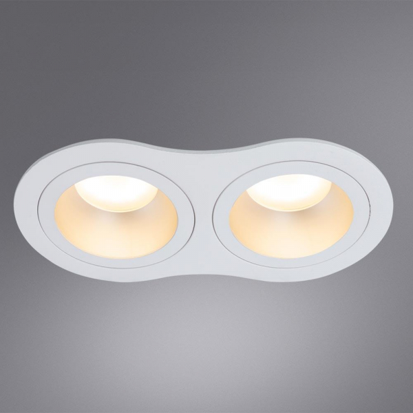Встраиваемый светильник Arte Lamp Alkes A2161PL-2WH Встраиваемый светильник Arte Lamp Alkes A2161PL-2WH