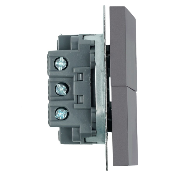 Выключатель 2-клавишный самовозвратный (механизм), Stekker, 250В, 10А Эмили, RSW10-5113-10, платиново-серый, soft touch 50329