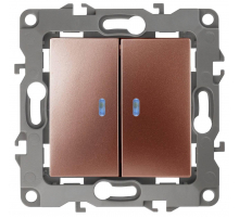Выключатель двухклавишный с подсветкой ЭРА 12 10AX 250V 12-1105-14 Б0019293