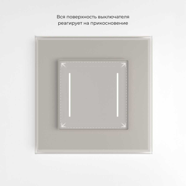 Сенсорный выключатель двухклавишный с подсветкой (дымчатый) W4522014/ a069763