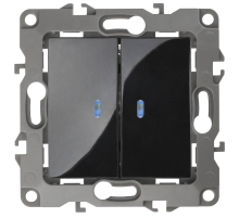 Выключатель двухклавишный с подсветкой ЭРА 12 10AX 250V 12-1105-06 Б0014662