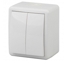 Выключатель двухклавишный ЭРА Эксперт 10AX 250V IP54 Al Cu 11А-1404-01 Б0038817
