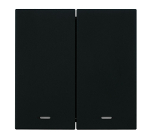 Выключатель 2-клавишный c индикатором (механизм), Stekker, 250В, 10А Мия, RSW10-3102-05, черный бархат 50446