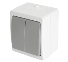 Выключатель двухклавишный Stekker Велена белый/серый PSW10-221-54 49733