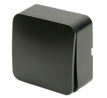 Выключатель одноклавишный Stekker София черный MSW10-10-02 49291