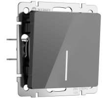 Выключатель одноклавишный проходной с подсветкой Werkel графит акрил W1112144 4690389197437