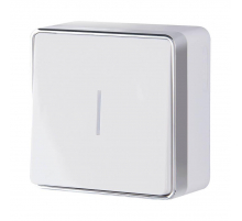 Выключатель одноклавишный с подсветкой Werkel Gallant белый W5010101 4690389163791