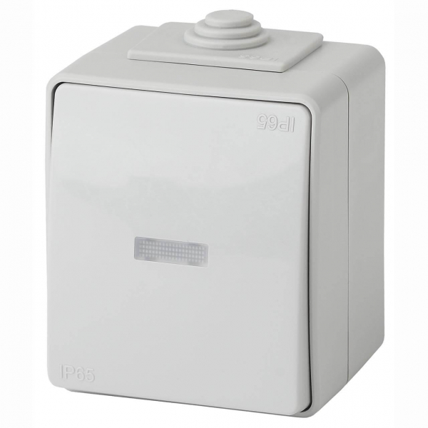 Выключатель одноклавишный с подсветкой ЭРА Эксперт 10AX 250V IP65 11-1602-03 Б0035974 Выключатель одноклавишный с подсветкой ЭРА Эксперт 10AX 250V IP65 11-1602-03 Б0035974