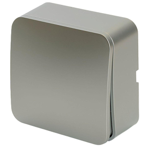 Выключатель одноклавишный Stekker София серебро MSW10-10-03 49295