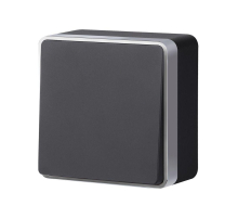 W5010034/ Выключатель одноклавишный Gallant (черный с серебром)