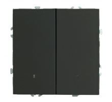 Выключатель 2-клавишный c индикатором (механизм), STEKKER, 250В, 10А, серия Эмили, RSW10-5102-05, черный уголь, soft touch 49838