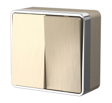 Выключатель двухклавишный Werkel Gallant шампань рифленый W5020010 4690389164149