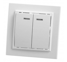 Выключатель двухклавишный Feron Stekker Эрна с подсветкой PSW10900201 39042