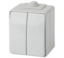 Выключатель двухклавишный ЭРА Эксперт 10AX 250V IP65 11-1604-03 Б0035976