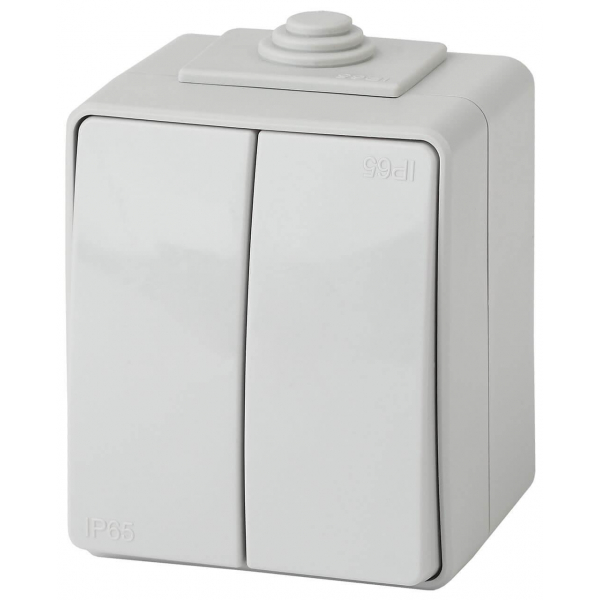 Выключатель двухклавишный ЭРА Эксперт 10AX 250V IP65 11-1604-03 Б0035976 Выключатель двухклавишный ЭРА Эксперт 10AX 250V IP65 11-1604-03 Б0035976
