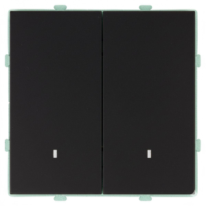 Выключатель 2-клавишный c индикатором (механизм), STEKKER, 250В, 10А, серия Эмили, RSW10-5102-05, черный уголь, soft touch 49838