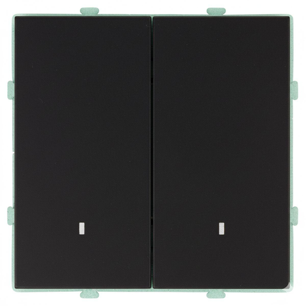 Выключатель 2-клавишный c индикатором (механизм), STEKKER, 250В, 10А, серия Эмили, RSW10-5102-05, черный уголь, soft touch 49838