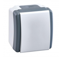 Выключатель Mono Electric Octans IP54 одноклавишный бело-серый 154-020001-100