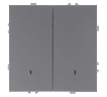 Выключатель 2-клавишный c индикатором (механизм), STEKKER, 250В, 10А, серия Эмили, RSW10-5102-10,  платиново-серый, soft touch 49942