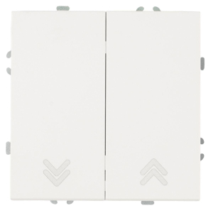 Выключатель 2-клавишный самовозвратный (механизм), Stekker. 250В, 10А Эмили, RSW10-5113-01, белый фарфор, soft touch 50325