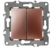 Выключатель двухклавишный ЭРА 12 10AX 250V 12-1004-14 Б0019313