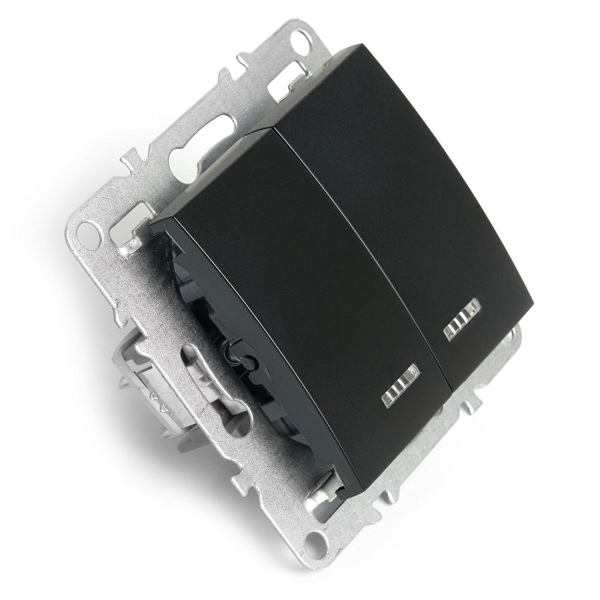 Выключатель двухклавишный Stekker Эрна с подсветкой черный PSW10-9102-03 49147