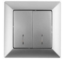 Выключатель двухклавишный ЭРА Intro Solo 10A 250V с подсветкой серебро 4-105-03 Б0043293