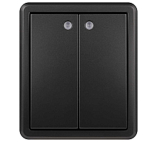 Выключатель ЭРА Эксперт 11-1205-05 двойной с подсветкой IP20 10АХ-250В ОУ антрацит Б0063021