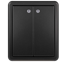 Выключатель ЭРА Эксперт 11-1205-05 двойной с подсветкой IP20 10АХ-250В ОУ антрацит Б0063021