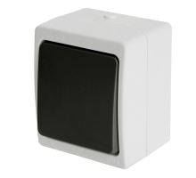 Выключатель одноклавишный Stekker Велена серый-графит PSW10-111-54 32752