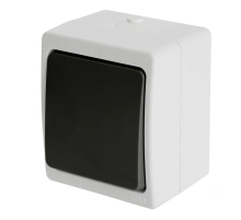 Выключатель одноклавишный Stekker Велена серый-графит PSW10-111-54 32752