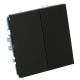 Выключатель 2-клавишный (механизм), СЗК, Stekker, 250В, 10А Эмили, RSW10-5104-05ZK, черный уголь, soft touch 50247