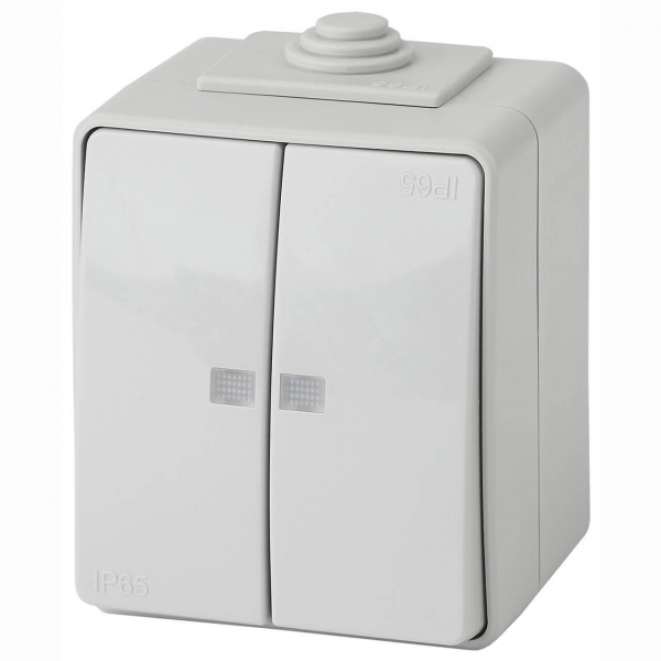 Выключатель двухклавишный с подсветкой ЭРА Эксперт 10AX 250V IP65 11-1605-03 Б0035977 Выключатель двухклавишный с подсветкой ЭРА Эксперт 10AX 250V IP65 11-1605-03 Б0035977