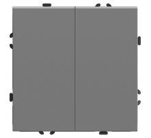 Переключатель перекрестный 2-клавишный (механизм), STEKKER, 250В, 10А, серия Эмили, RSW10-5111-10, платиново-серый, soft touch 50166