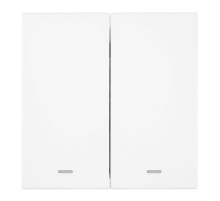 Выключатель 2-клавишный c индикатором (механизм), Stekker, 250В, 10А Мия, RSW10-3102-01, белая магнолия 50432