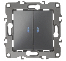 Выключатель двухклавишный с подсветкой ЭРА 12 10AX 250V 12-1105-12 Б0019291