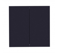 Выключатель двухклавишный Arte Lamp Smart A700106