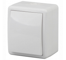 Переключатель одноклавишный ЭРА Эксперт 10AX 250V IP54 11-1403-01 Б0020673