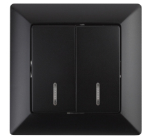 Выключатель двухклавишный ЭРА Intro Solo 10A 250V с подсветкой антрацит 4-105-05 Б0043295