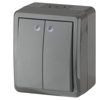 Выключатель двухклавишный с подсветкой ЭРА Эксперт 10AX 250V IP54 11-1405-03 Б0020678
