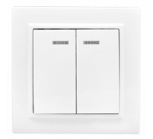 Минск Выключатель 2-клавишный СП с индикатором,10А, белый EKF Basic ERV10-123-10