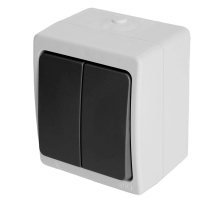 Выключатель двухклавишный Stekker Велена серый-графит PSW10-121-54 32753