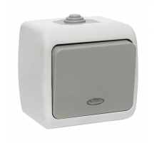 Мурманск Выключатель 1 -клавишный с индикатором 10А IP54 серый EKF EFV10-121-30-54