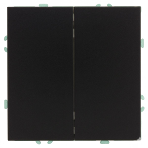 Переключатель 2-клавишный (механизм), СЗК, Stekker, 250В, 10А Эмили, RSW10-5107-05ZK, черный уголь, soft touch 50249